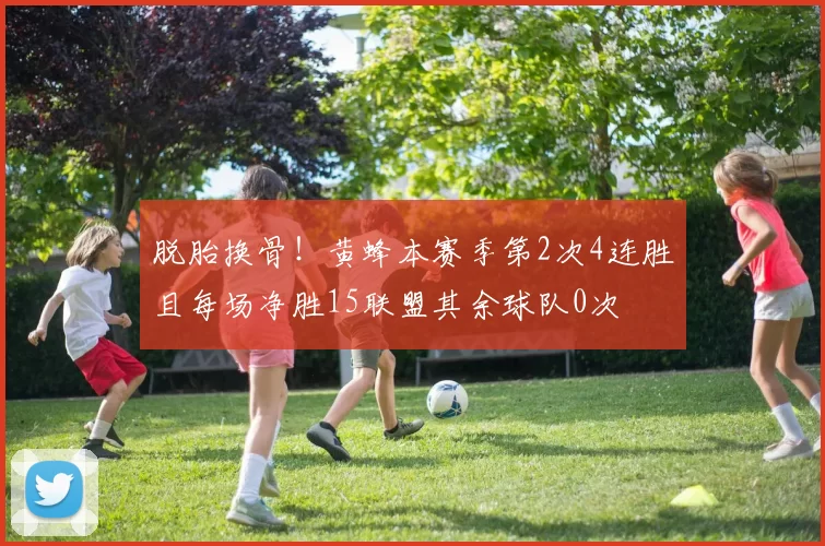 脱胎换骨！黄蜂本赛季第2次4连胜且每场净胜15联盟其余球队0次